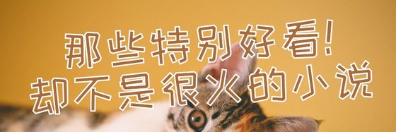 那些特別好看！卻不是很火的小説