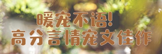 火爆高分！优质言情豪门世家小说